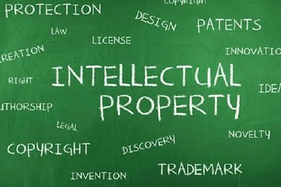 Intellectual Property Rights Law